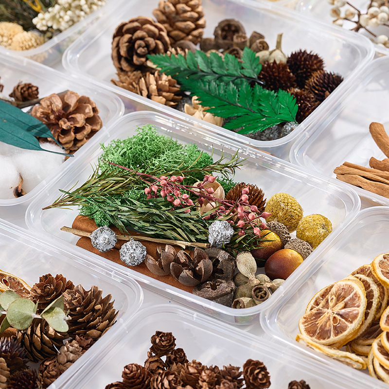 Christmas dried fruit flower b - Dried Fruit ulasan dan harga