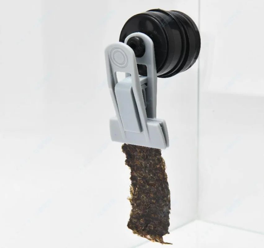 Veggie-Mag Feeding Clip Aquari - Seaweed Snack ulasan dan harga