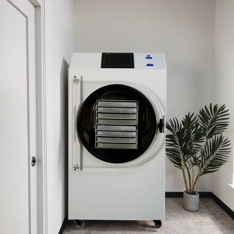 Automatic PLC-Controlled Dryin - Dried Fruit ulasan dan harga