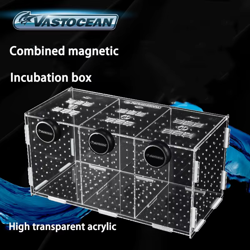 VASTOCEAN-Magnetic Combined Ac - Seaweed Snack ulasan dan harga