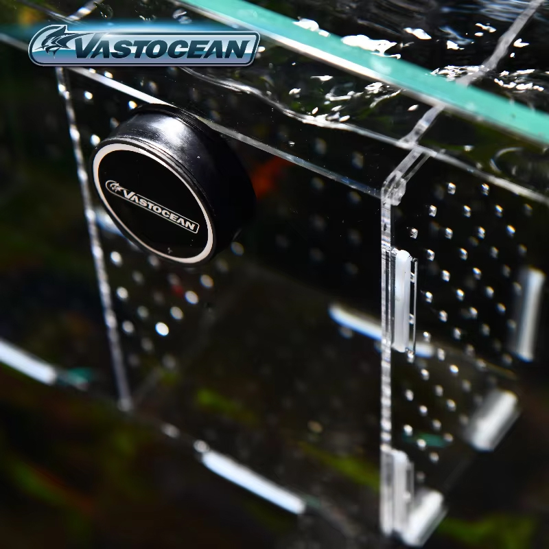 VASTOCEAN-Magnetic Combined Ac - Seaweed Snack ulasan dan harga