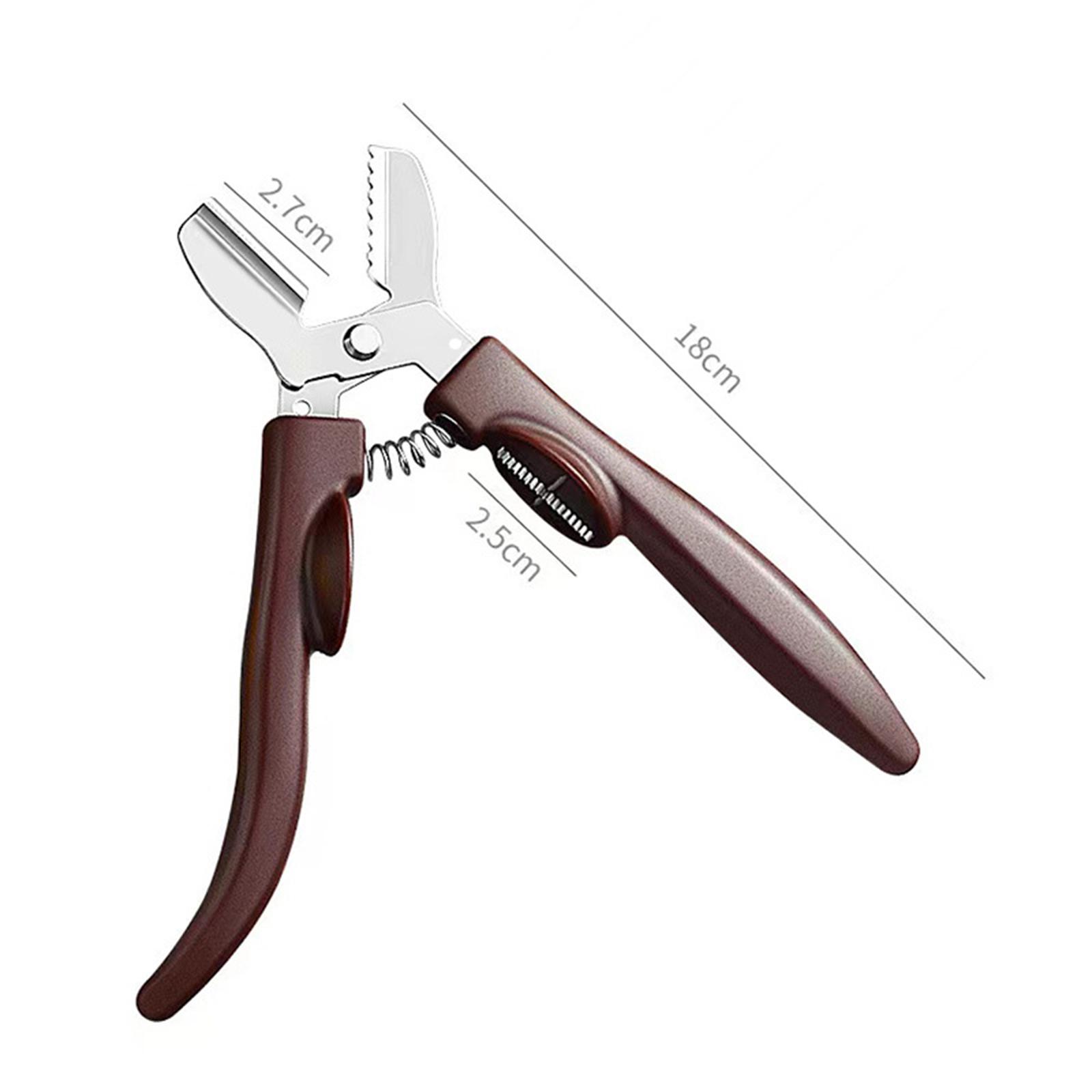 Chestnut Nut Opener Pliers Sta - Dried Fruit ulasan dan harga